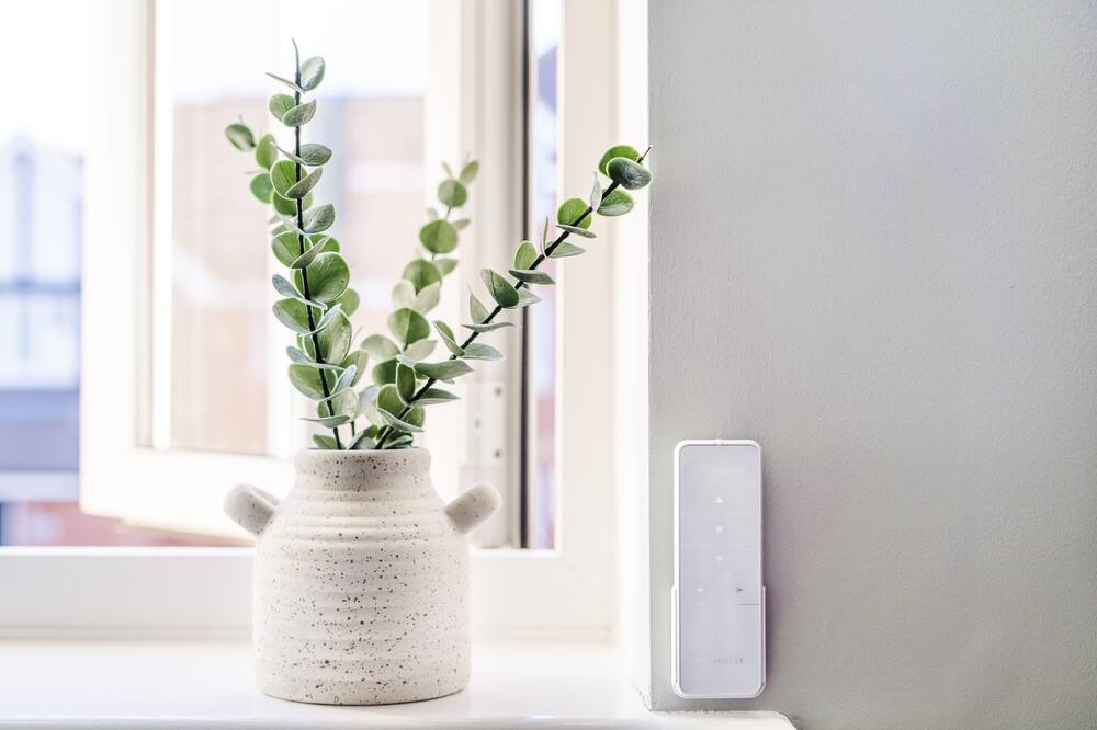 Photo of Others in Ashford