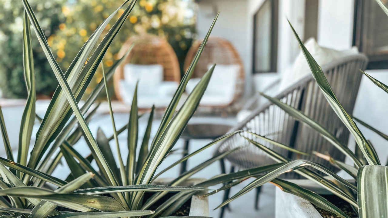 Photo of Outdoor in Desert Hot Springs