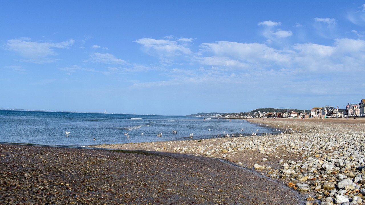 Photo of Others in Branville