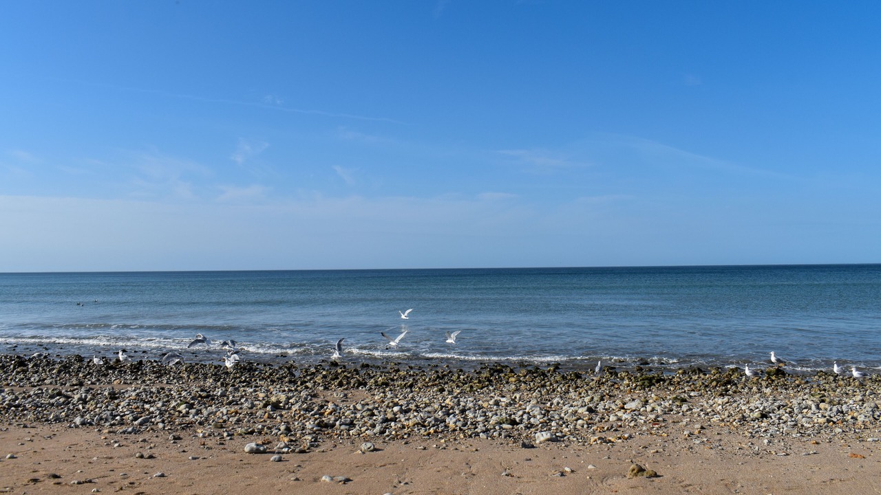 Photo of Others in Branville