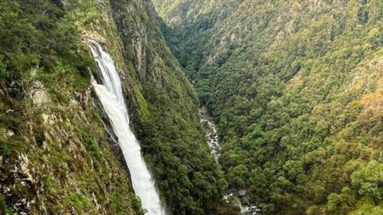 Photo of Others in Wingham