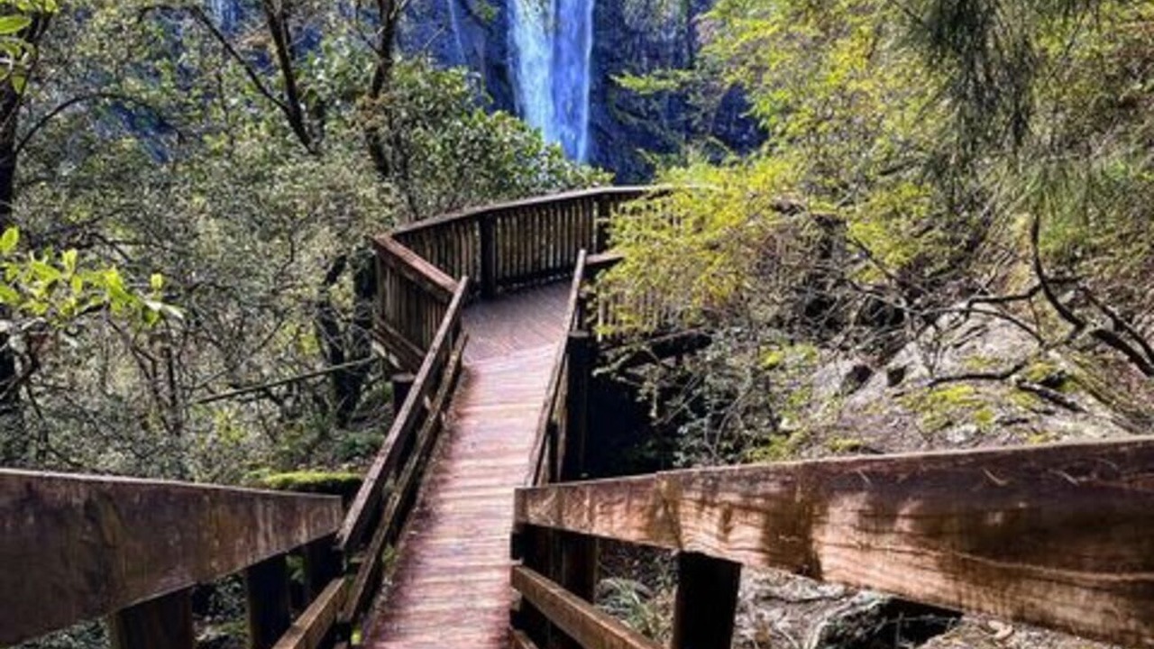 Photo of Others in Wingham