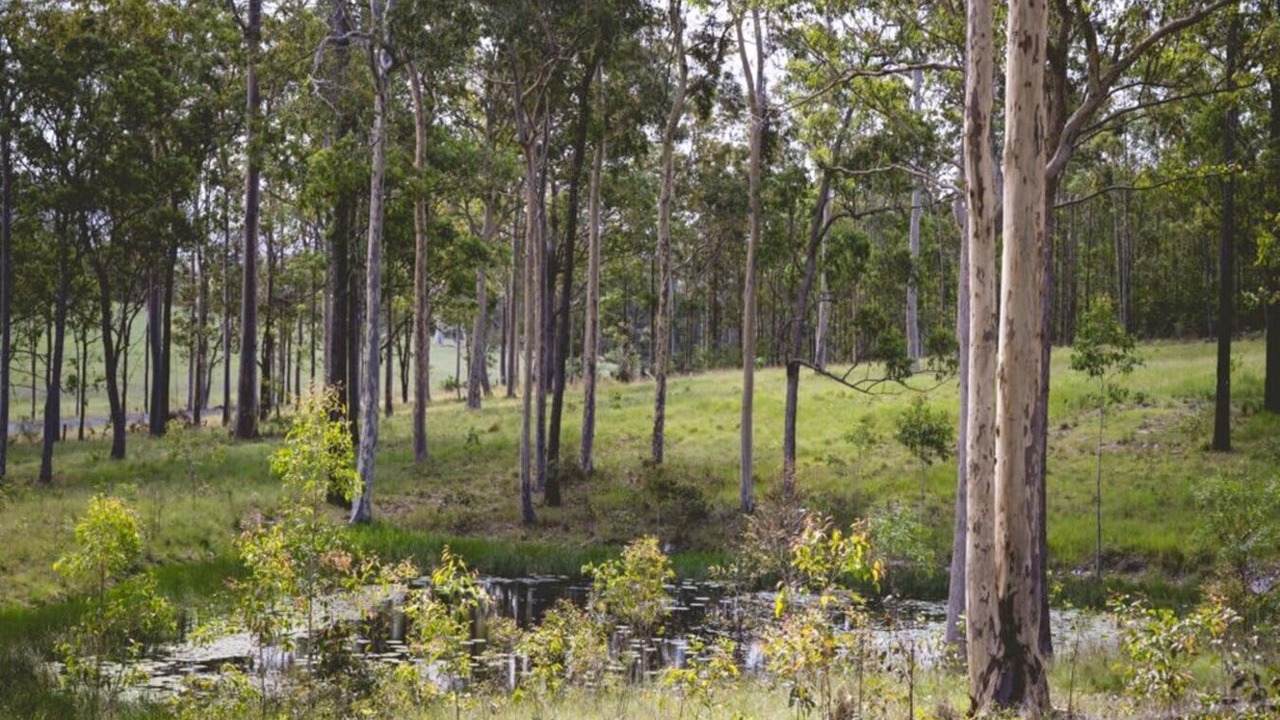 Photo of Outdoor in Wingham