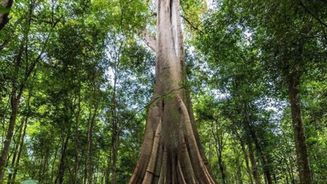Photo of Outdoor in Wingham