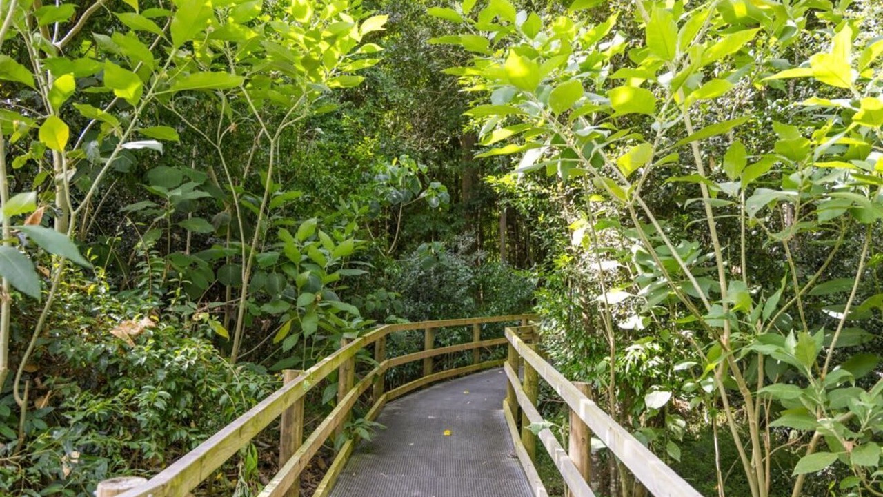 Photo of Outdoor in Wingham