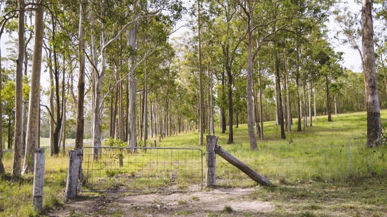 Photo of Others in Wingham