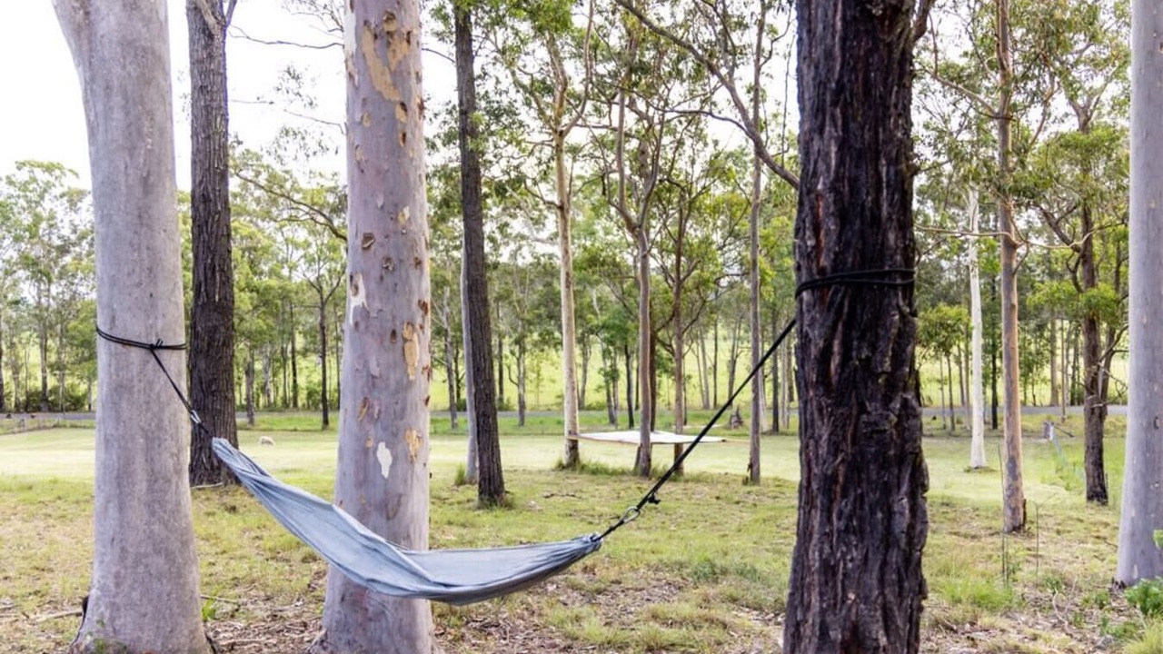 Photo of Outdoor in Wingham