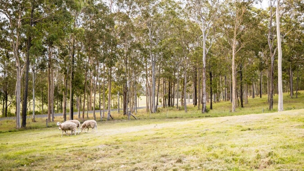 Photo of Others in Wingham