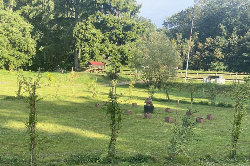 Photo of Others in Le Coudray-Montceaux