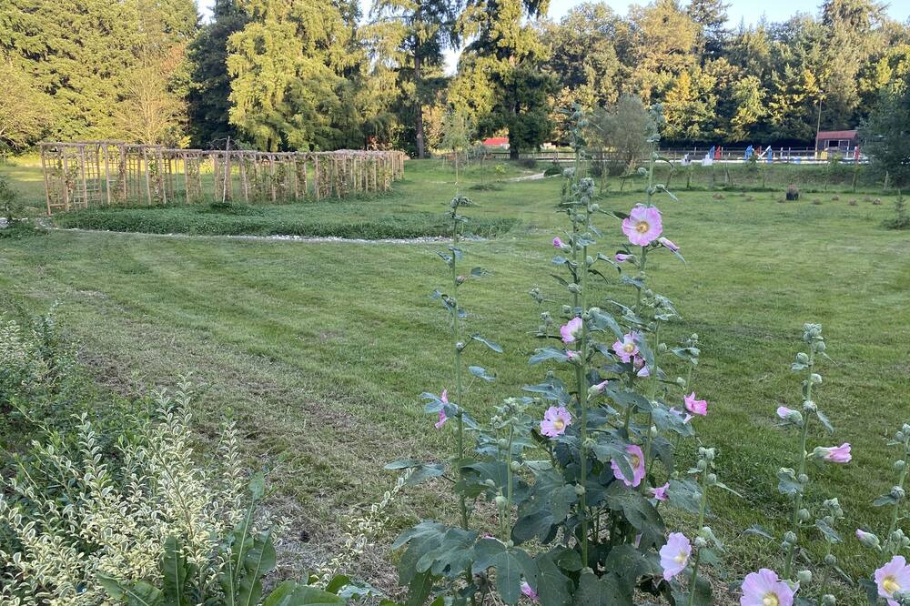 Photo of Others in Le Coudray-Montceaux