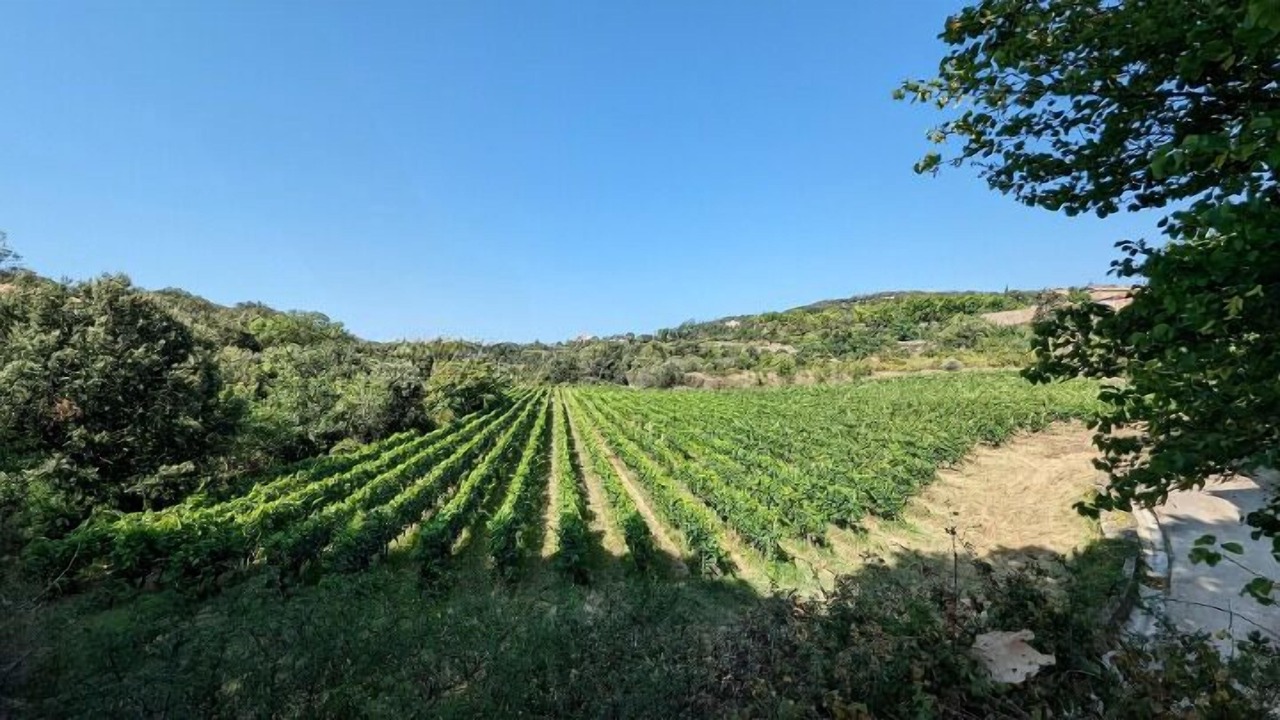 Photo of Outdoor in Faugeres