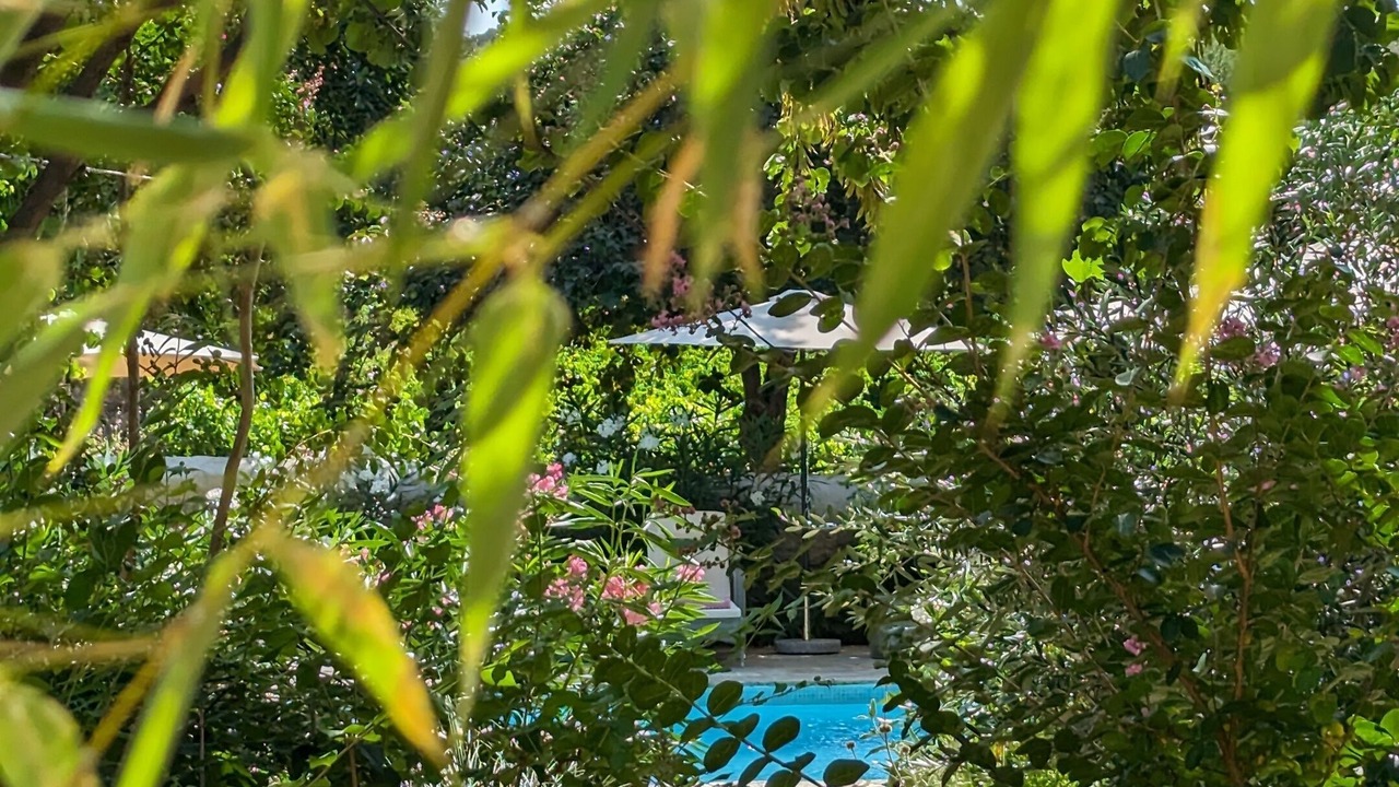 Photo of Outdoor in Faugeres