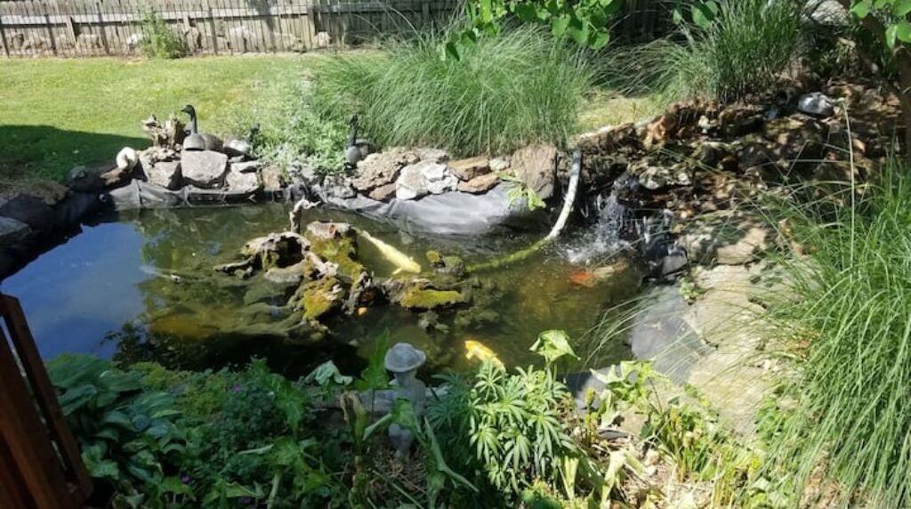 Photo of Outdoor in Ash Grove