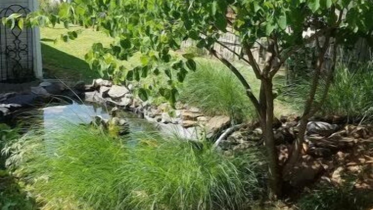 Photo of Outdoor in Ash Grove