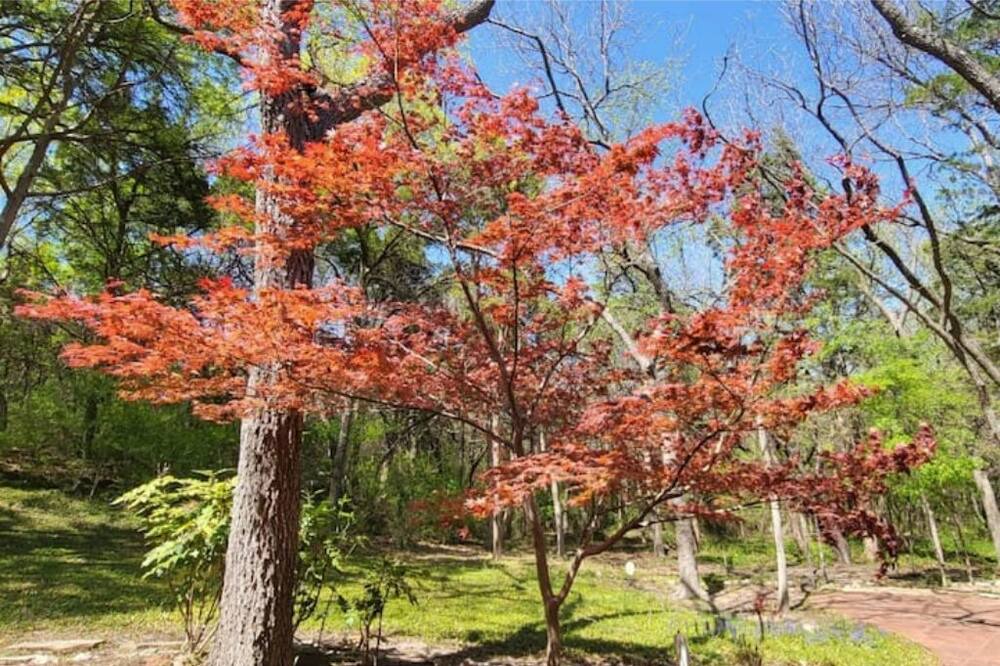 Photo of Outdoor in DeSoto