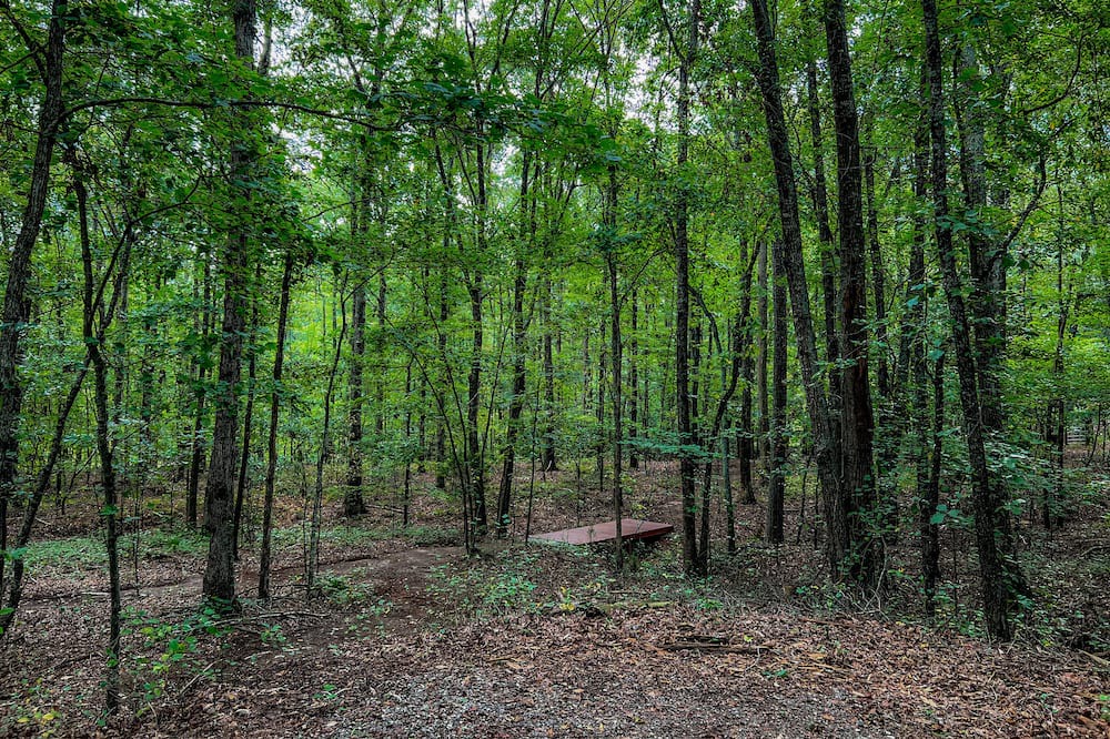 Photo of Others in Hampton