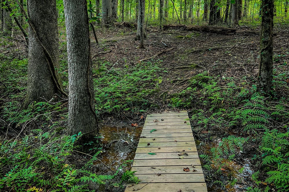 Photo of Outdoor in Hampton