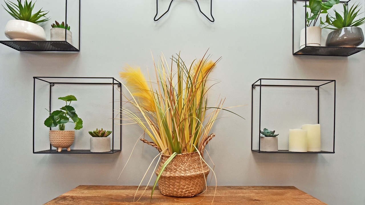 Photo of Others in Nulkaba