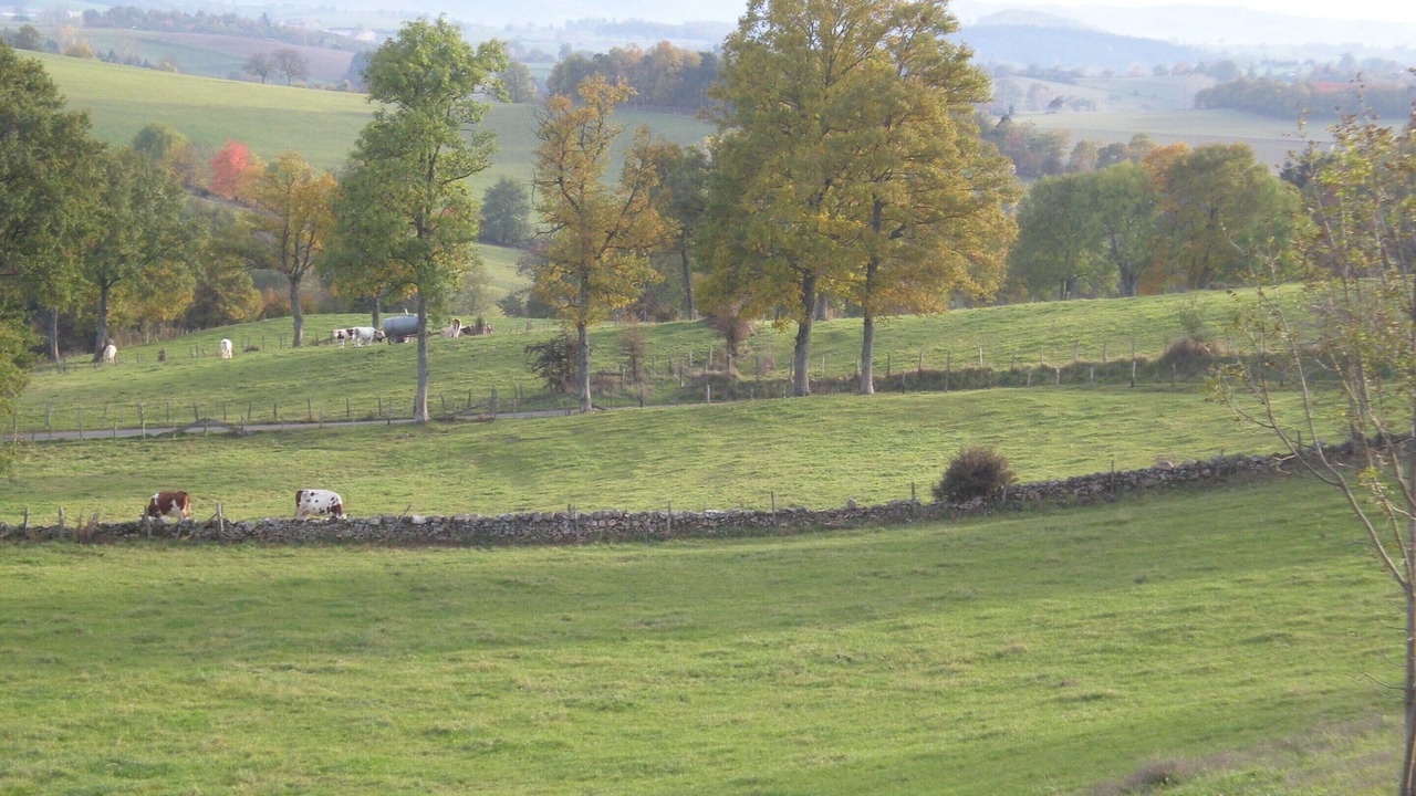 Photo of Outdoor in Longessaigne