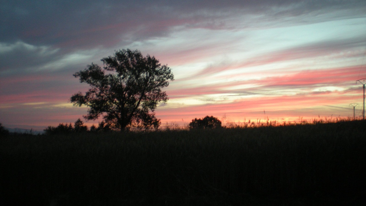 Photo of Outdoor in Longessaigne