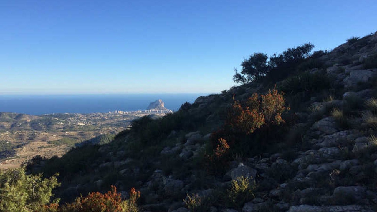 Photo of Others in Lliber