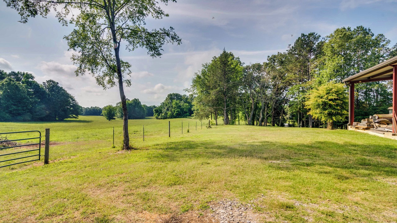 Photo of Others in Starkville