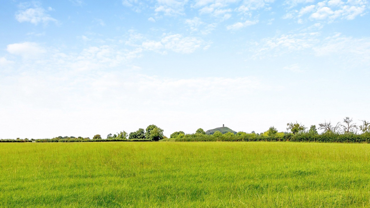 Photo of Others in West Pennard