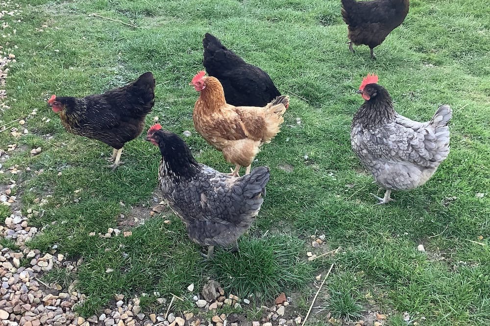 Photo of Outdoor in Nonvilliers-Grandhoux