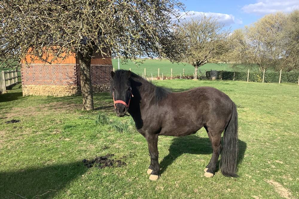 Photo of Outdoor in Nonvilliers-Grandhoux