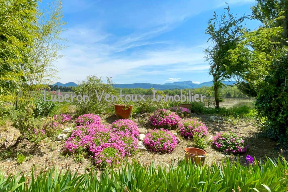 Photo of Outdoor in Violes