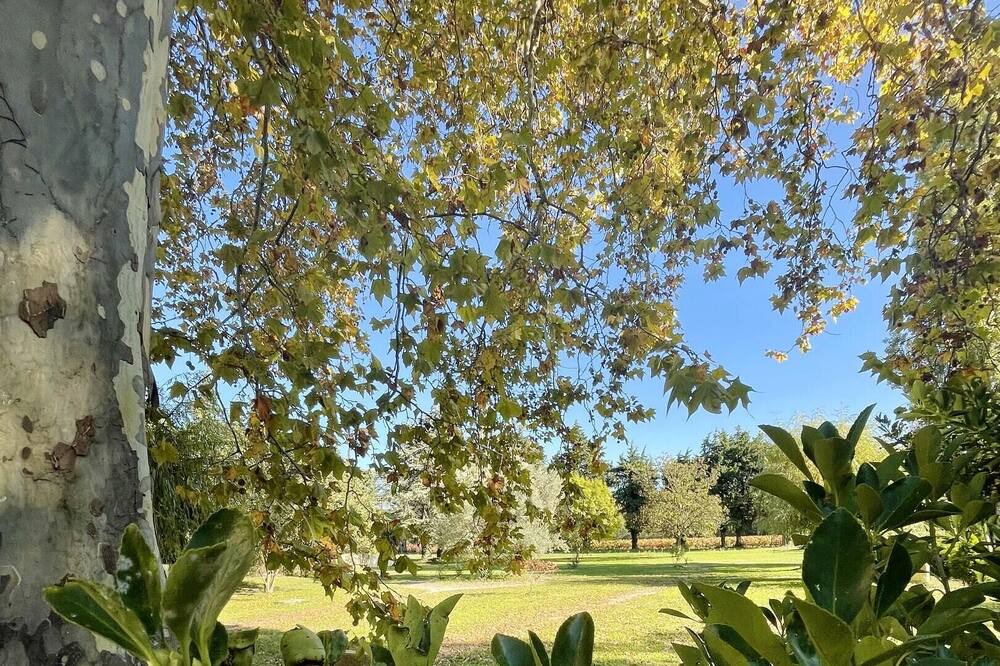 Photo of Outdoor in Violes