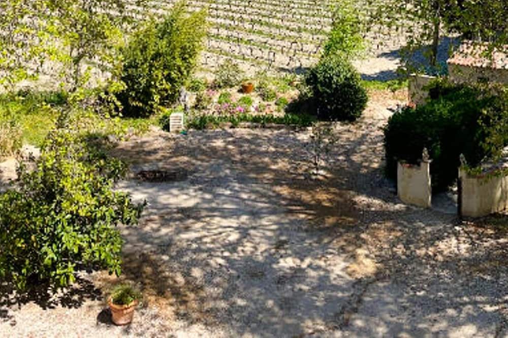 Photo of Others in Violes