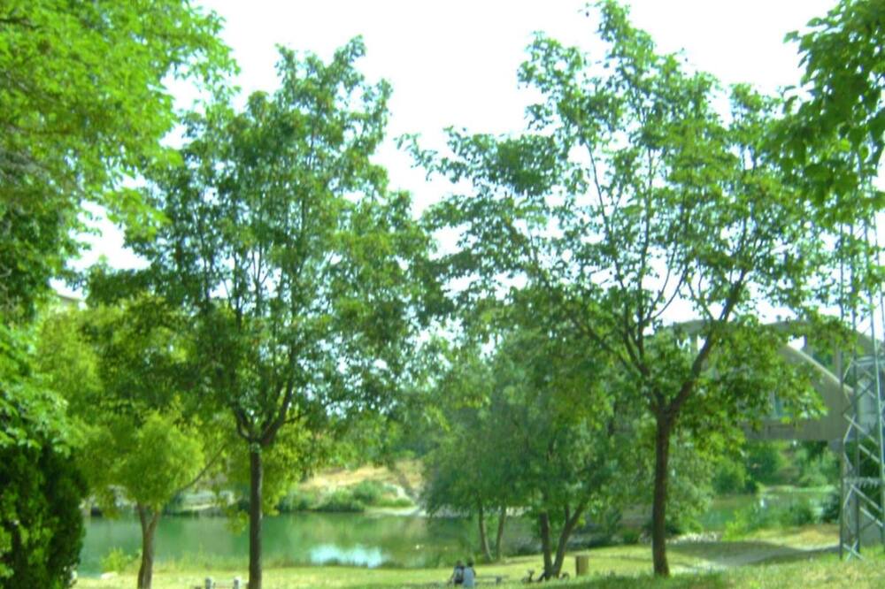 Photo of Others in Marsillargues