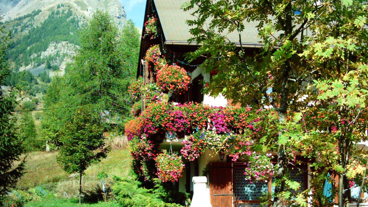 Photo of Outdoor in Esteng