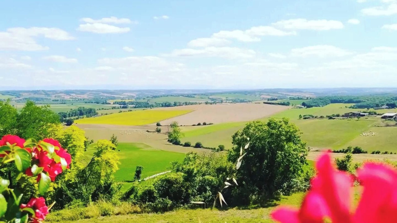 Photo of Outdoor in Lussan