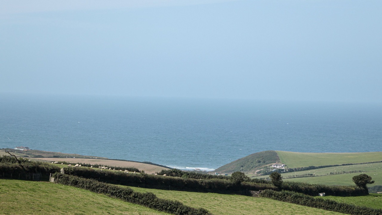 Photo of Outdoor in Stibb