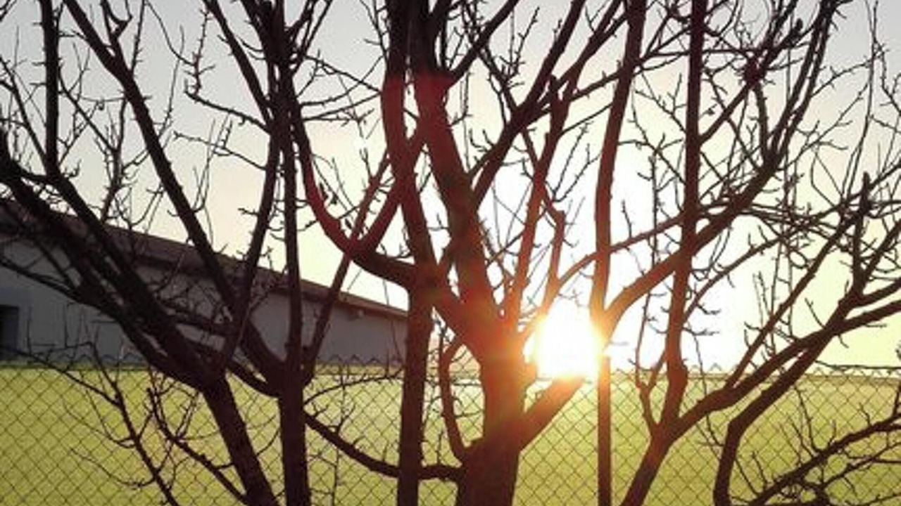 Photo of Outdoor in San Millan