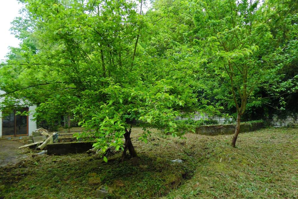 Photo of Outdoor in Courchamps