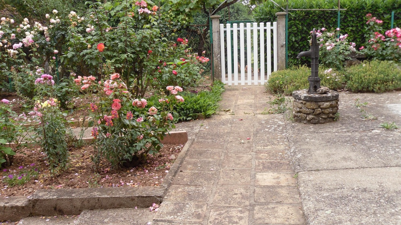 Photo of Outdoor in Puycelci