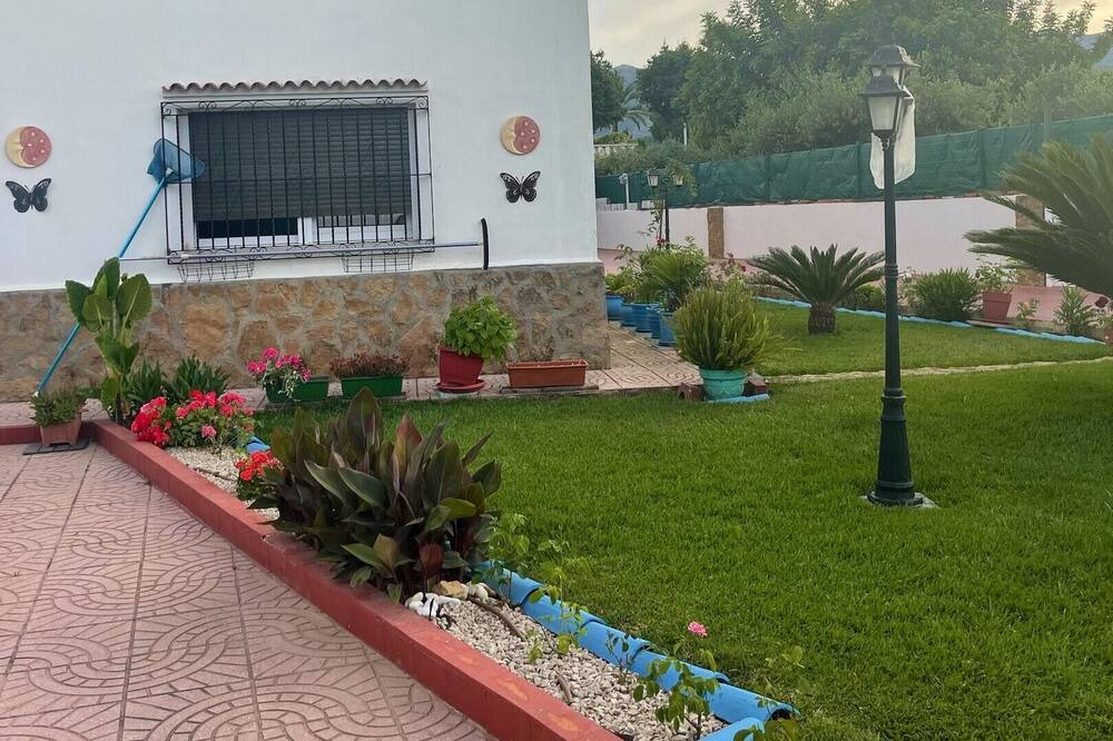 Photo of Outdoor in Gandia
