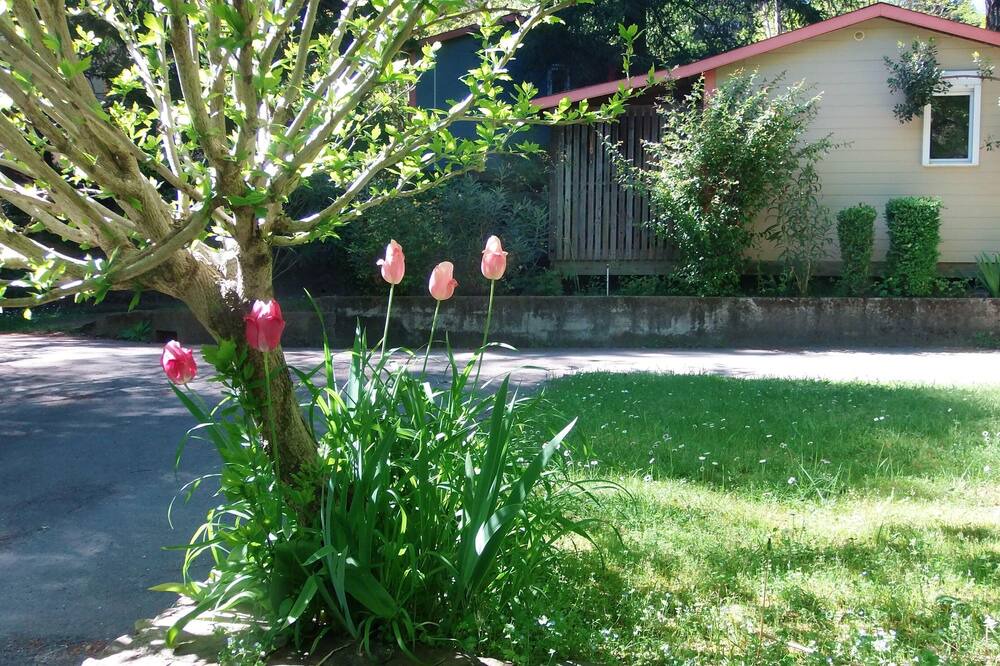Photo of Outdoor in Saint-Jean-du-Gard