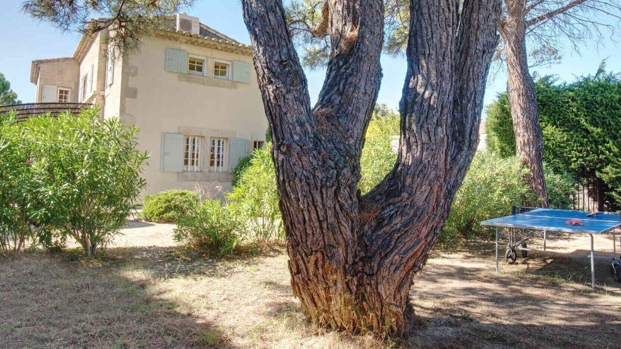 Photo of Outdoor in Paradou