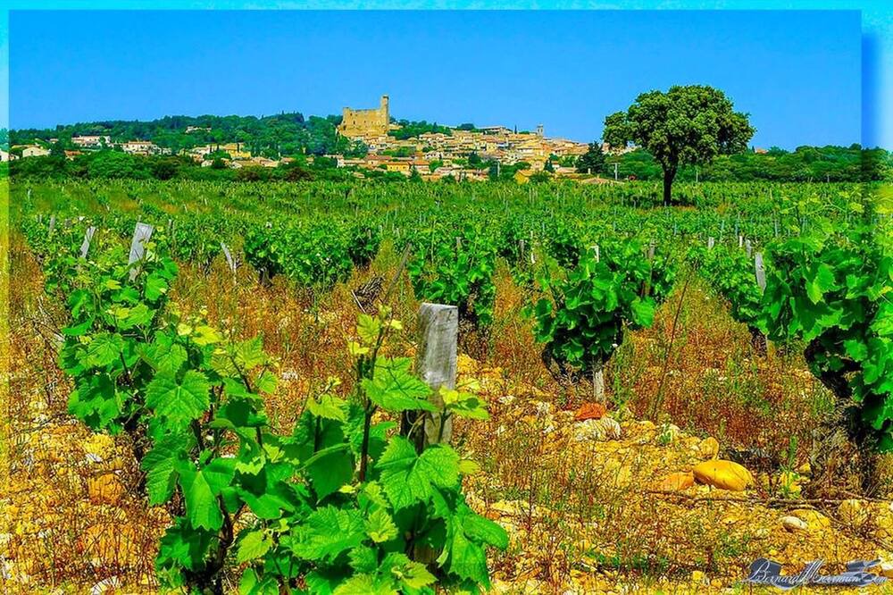 Photo of Outdoor in Chateauneuf-du-Pape