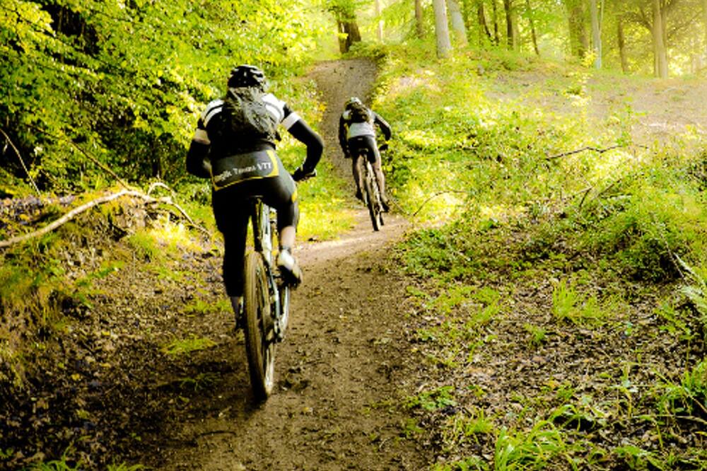 Photo of Others in La Ferriere-aux-Etangs