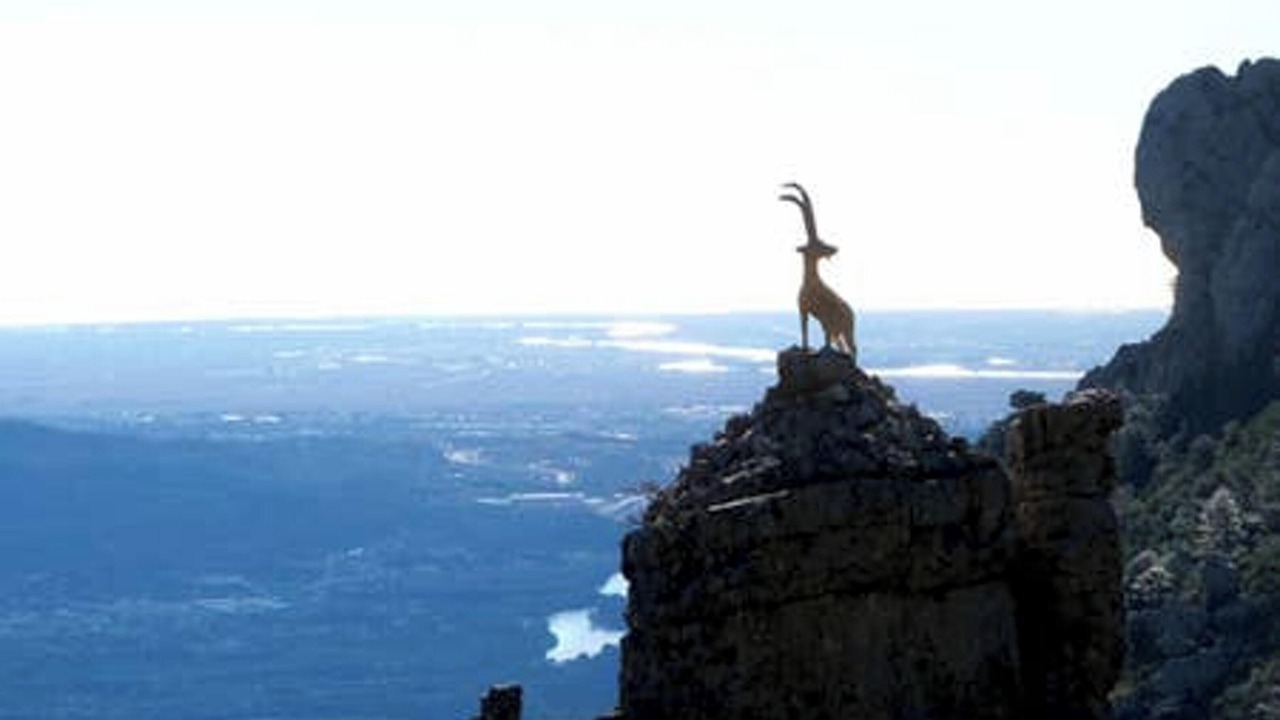 Photo of Others in Tortosa