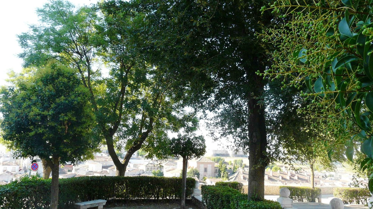 Photo of Outdoor in Chinchon