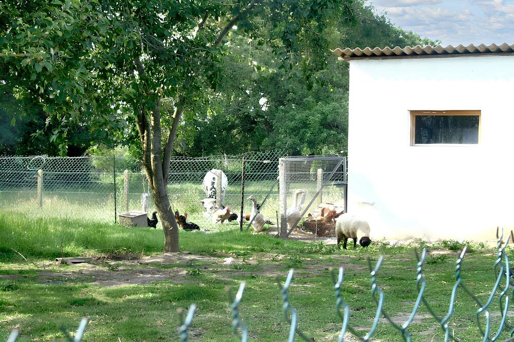 Photo of Outdoor in Avesnes-en-Val