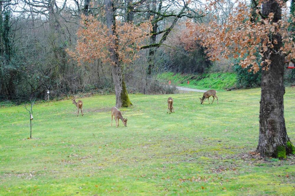 Photo of Others in Maurens