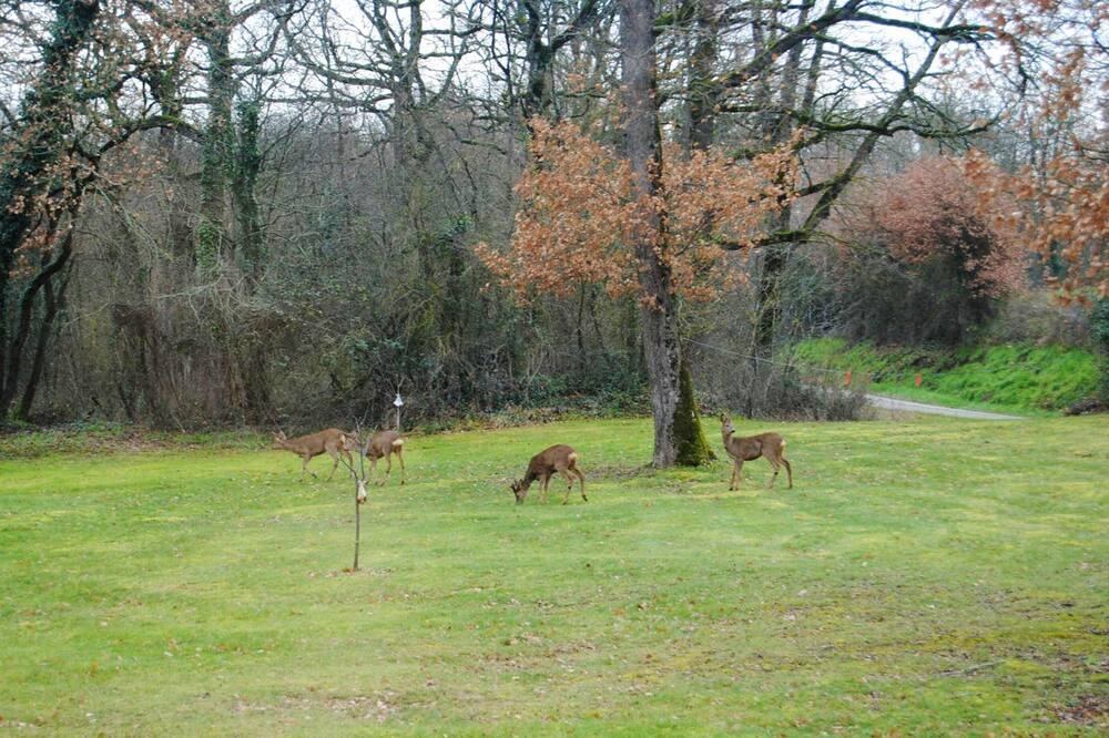 Photo of Others in Maurens