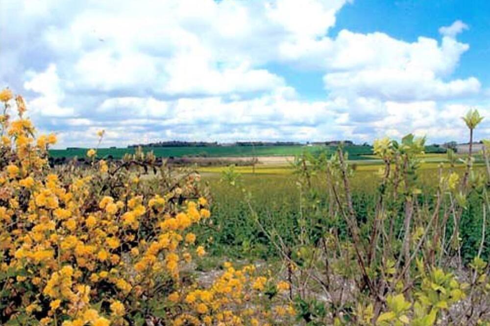 Photo of Others in Braslou